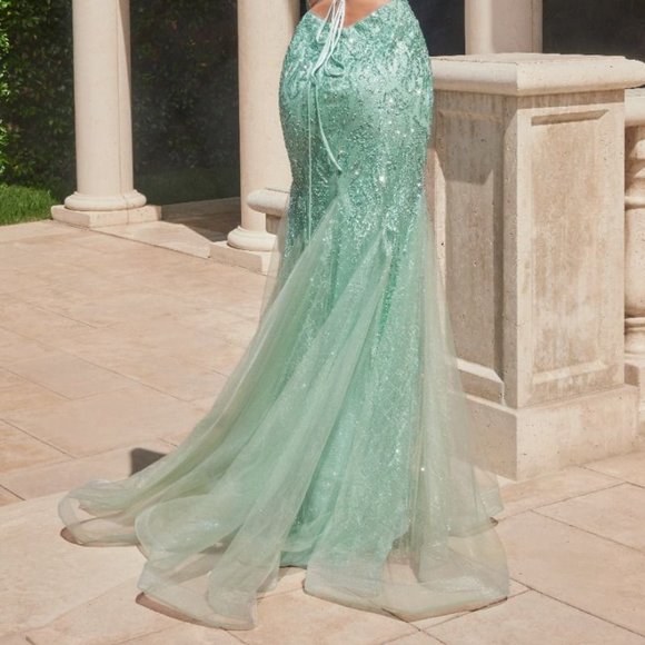 NEW LONG FORMAL SLEEVELESS MERMAID DRESS EMBROIDERED WITH GLITTER LACE CD CC2253 - Picture 7 of 10